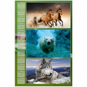 Плакат СТАНДАРТ А3