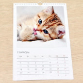 Перекидной ПРЕМИУМ А4 